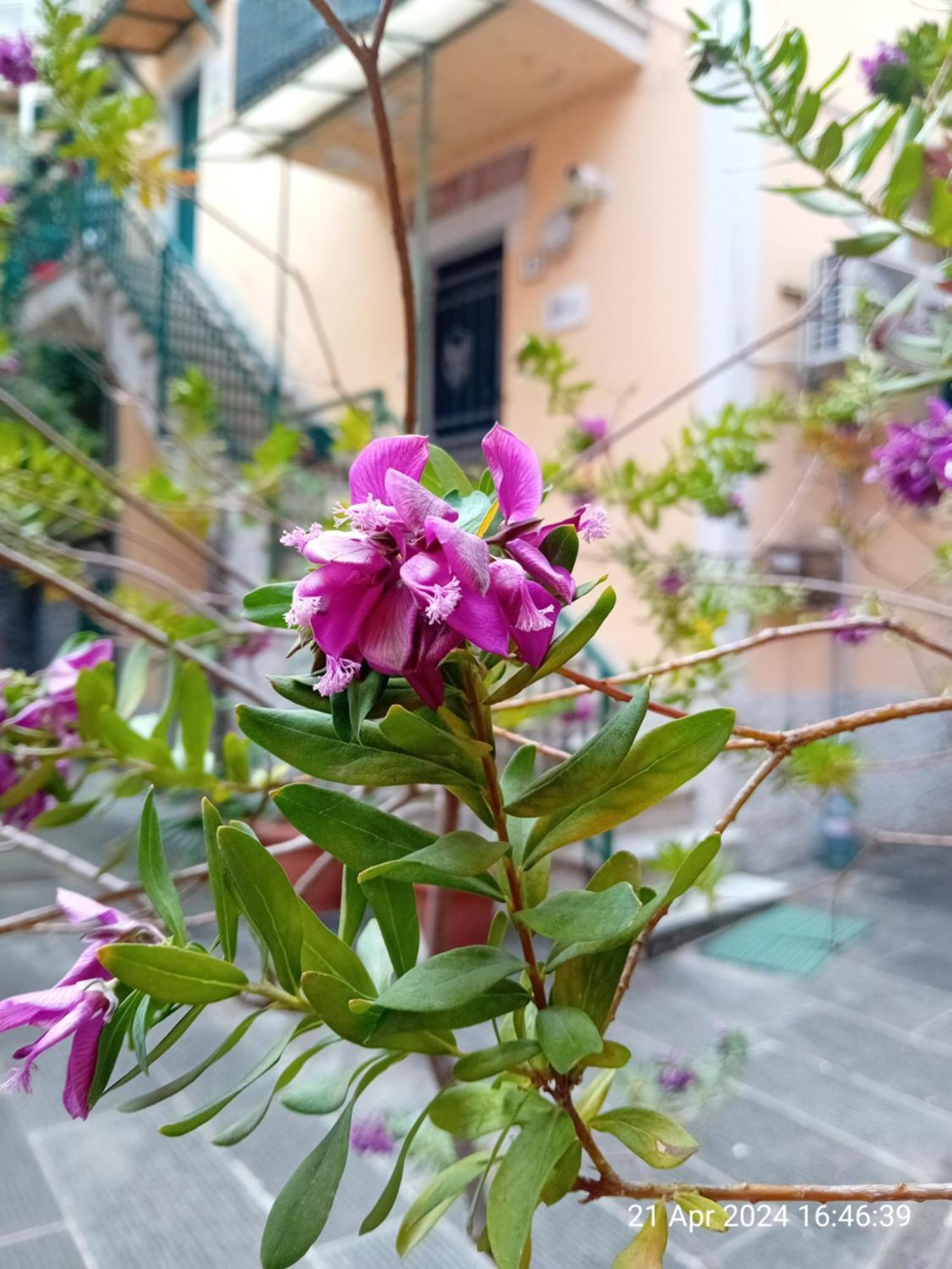 Appartamento Il Vicolo La Spezia Cinque Terre Luaran gambar