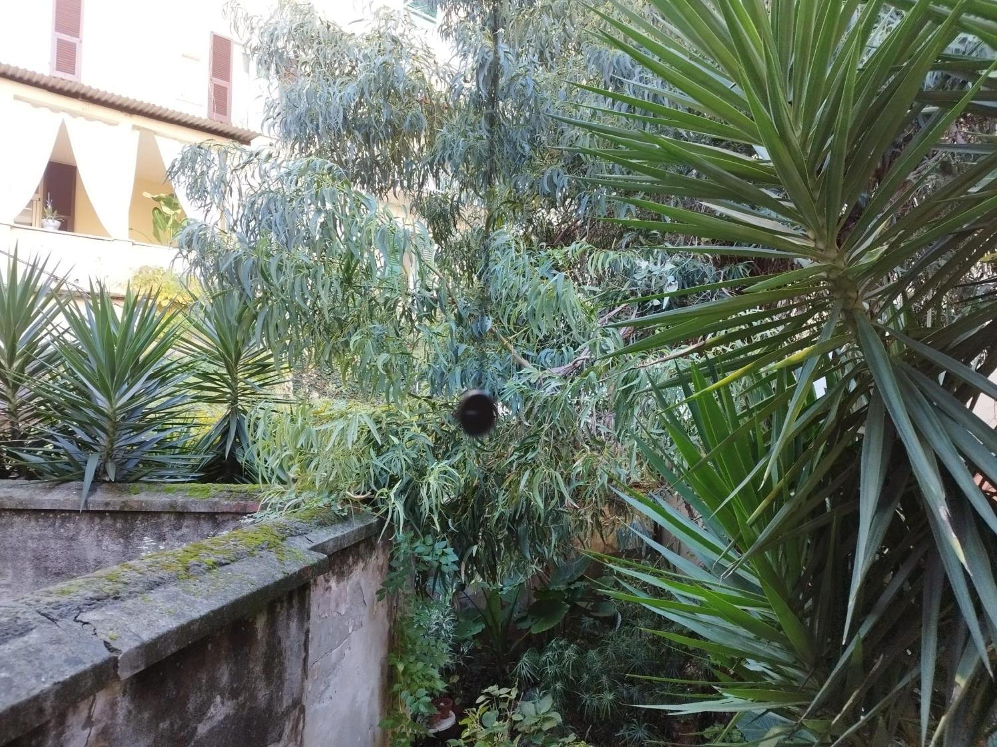 Appartamento Il Vicolo La Spezia Cinque Terre Luaran gambar